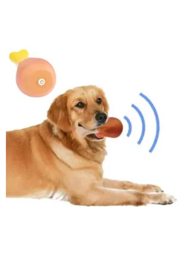 Text