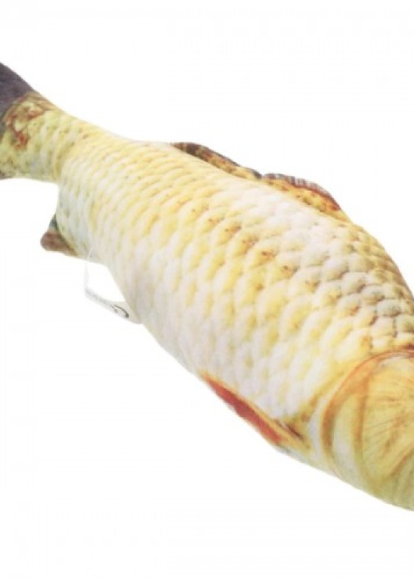 Text