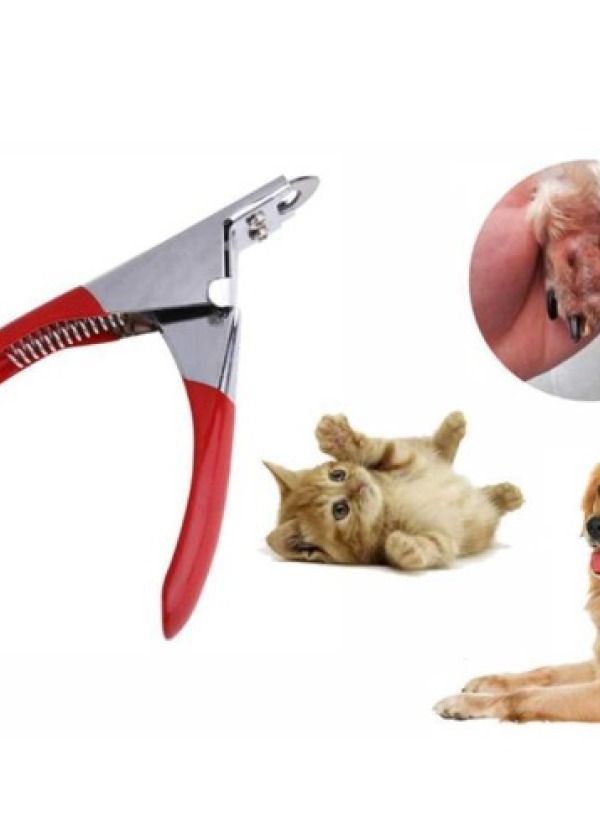 Kedi Köpek Giyotin Tırnak Makası