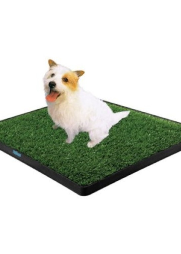 Köpek Tuvalet Eğitim Seti