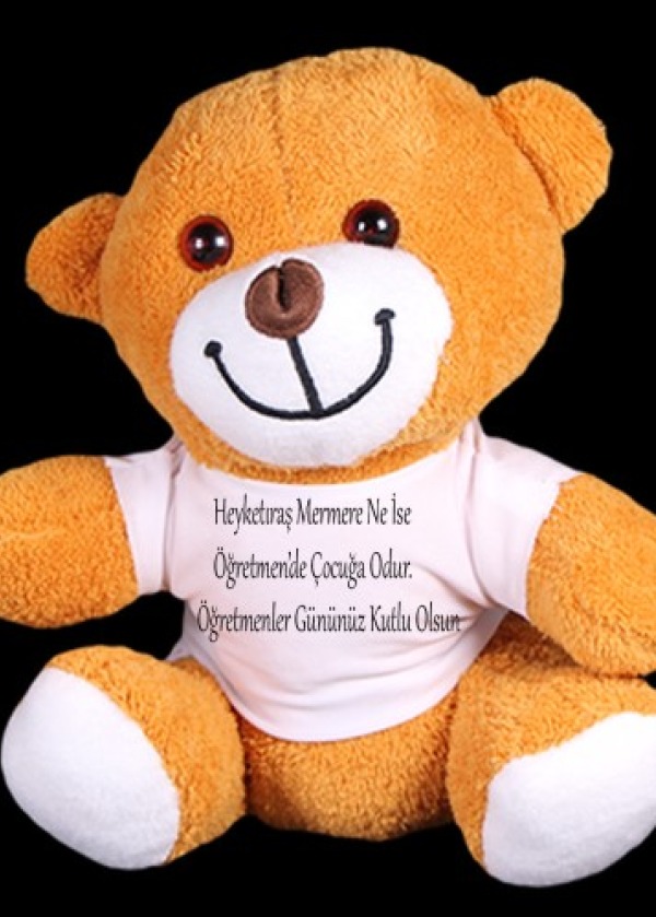 Öğretmenler Günü Hediyesi Peluş Ayıcık