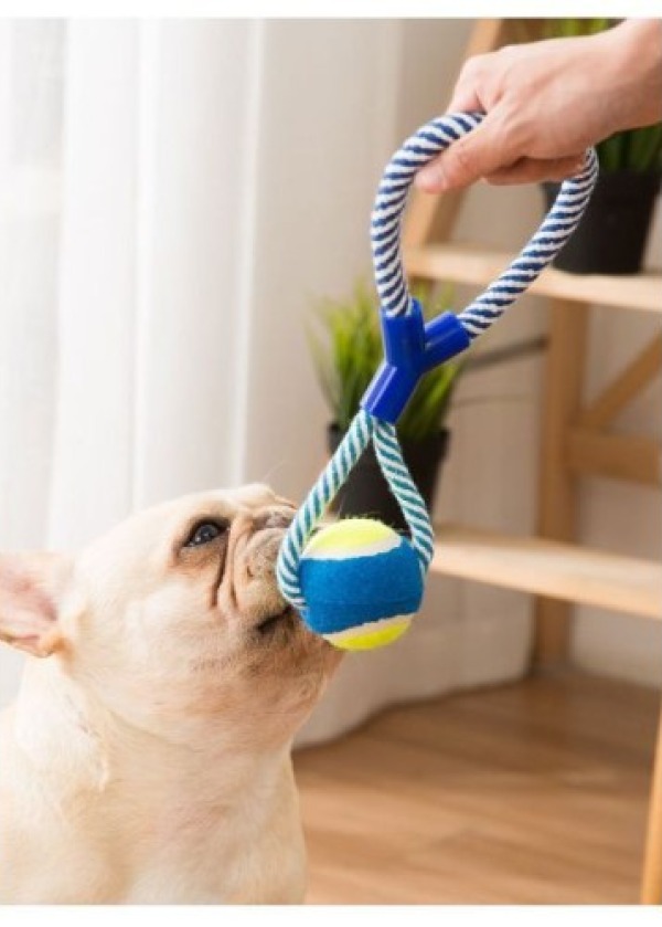 Halatlı Köpek Çiğneme Topu
