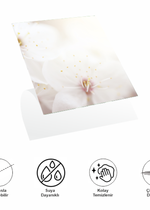 Decohandy 30x30 Cm Pvc Duvar Karosu 4'Lü Paket - Japon Çiçeği