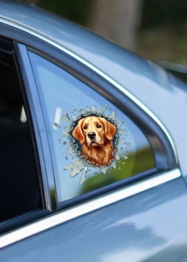 Fulcar Golden Araç Stickerı