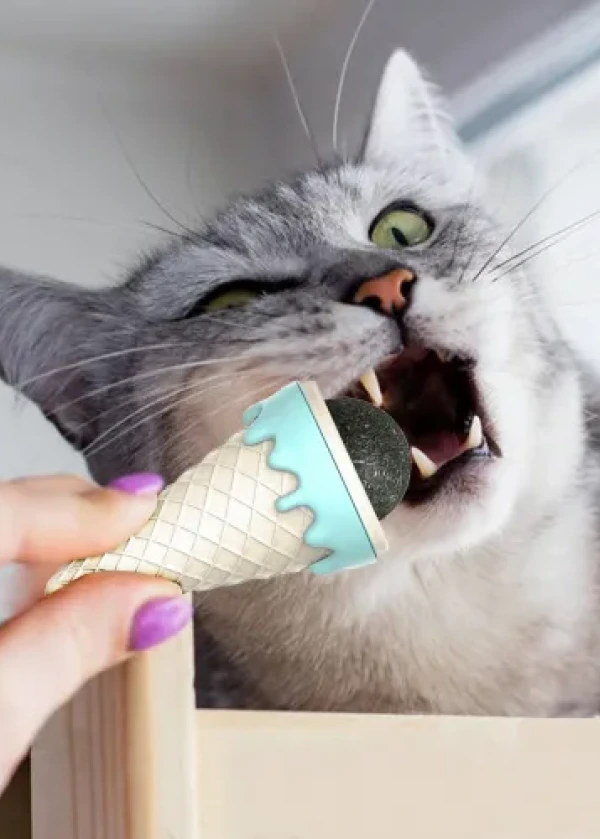 Dondurma Şeklinde Kedi Otu Nanesi