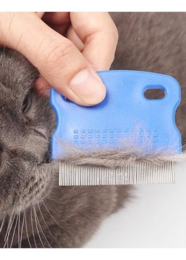 Kedi Köpek Pire Tarağı