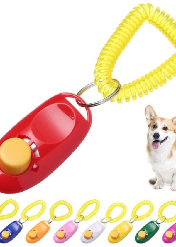 Köpek Eğitimi Clicker 