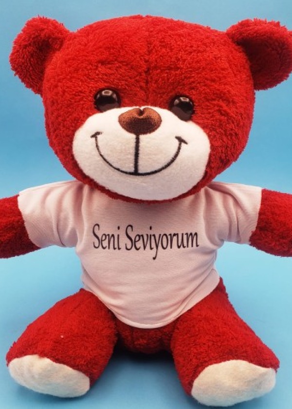 Kırmızı Ayıcık Seni Seviyorum Tişörtlü