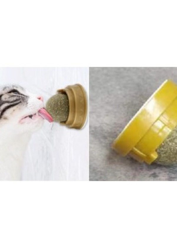 Kedi Nanesi Topu