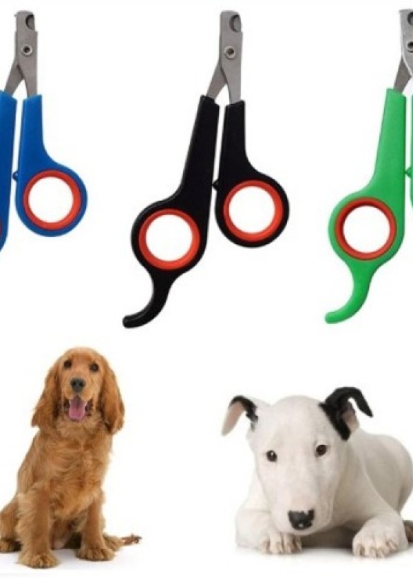 Renkli Kedi Köpek Tırnak Makası