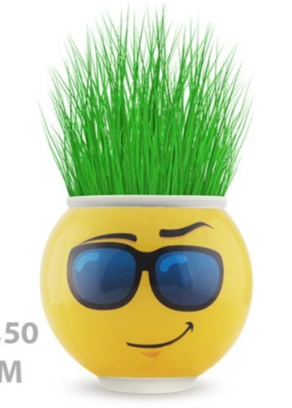 Çim Adam Saksı Emoji Figürlü 1 Adet
