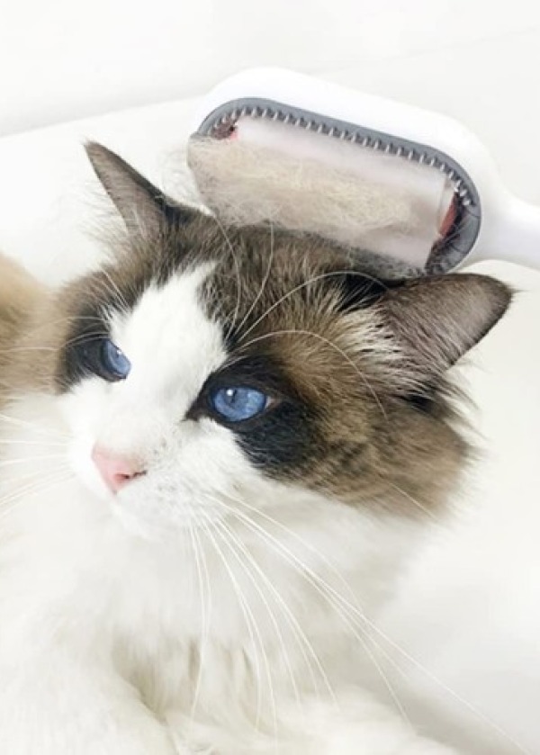 Kedi Köpek Tüy Toplama Tarağı