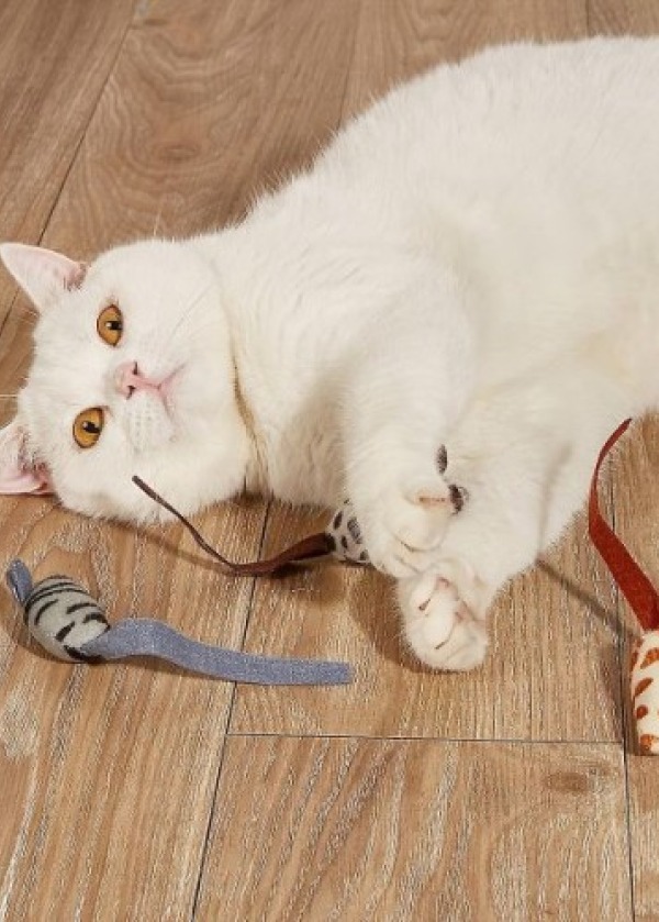 Peluş Fare Kedi Oyuncağı 3 Adet