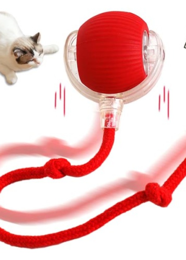 Şarjlı Kedi Oyuncağı