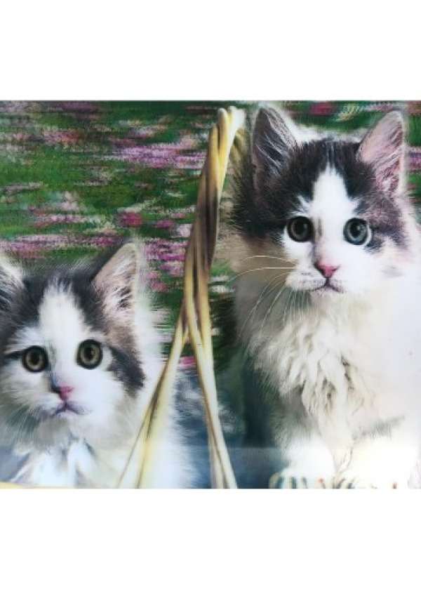 5D Elmas Boyama Kedi Tablosu