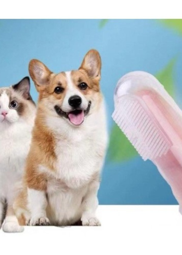 Kedi Köpek Diş Fırçası