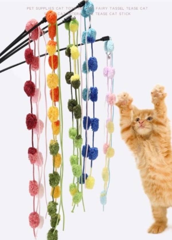ÇINGIRAKLI KEDİ OYUN OLTASI