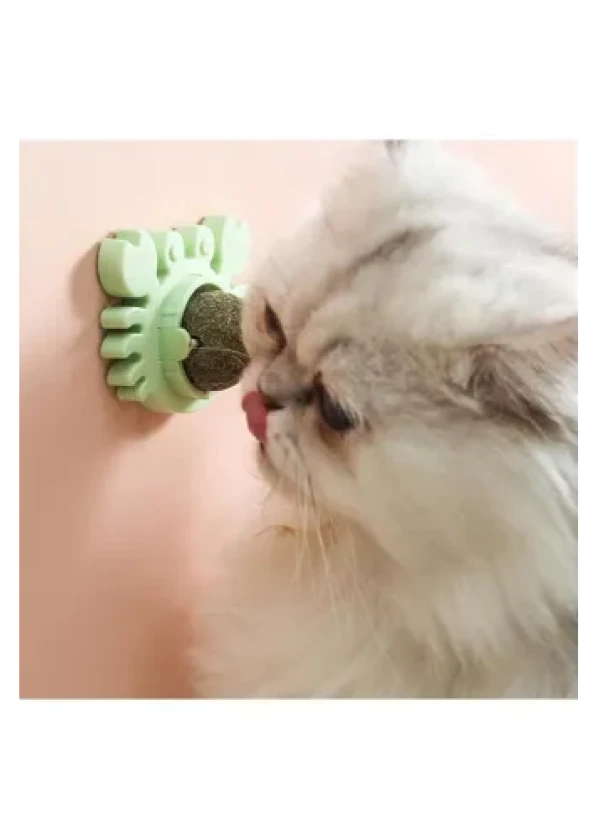 Yengeç Kedi Otu Oyun Topu