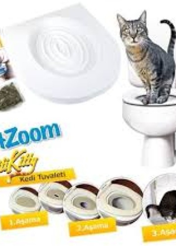 Klozet Kedi Tuvaleti
