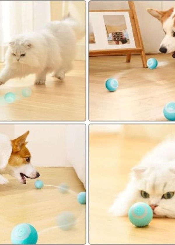 İnteraktif Kedi Köpek Şarjlı Oyun Topu