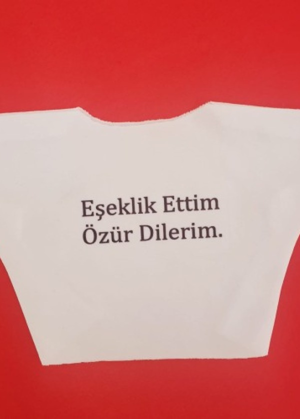 Eşeklik Ettim Yazılı Oyuncak Tişörtü