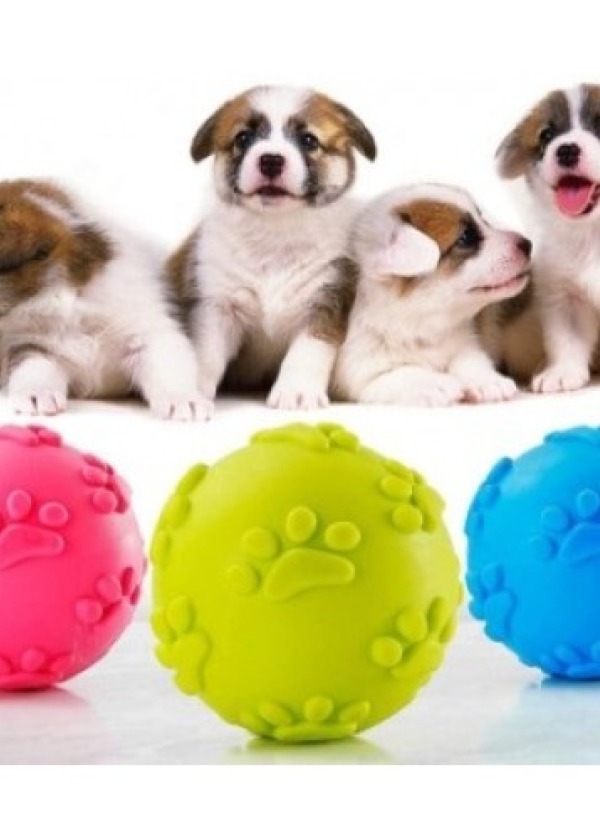 Köpek Isırma Topu Pati Desenli 
