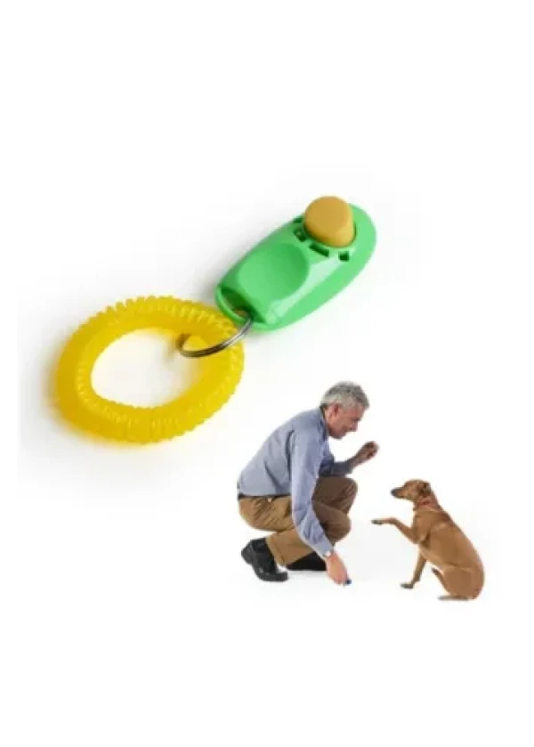 Clicker Köpek Eğitim Aleti