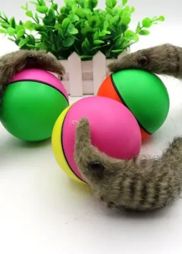 Hareketli Rakun Kedi Köpek Oyuncak 