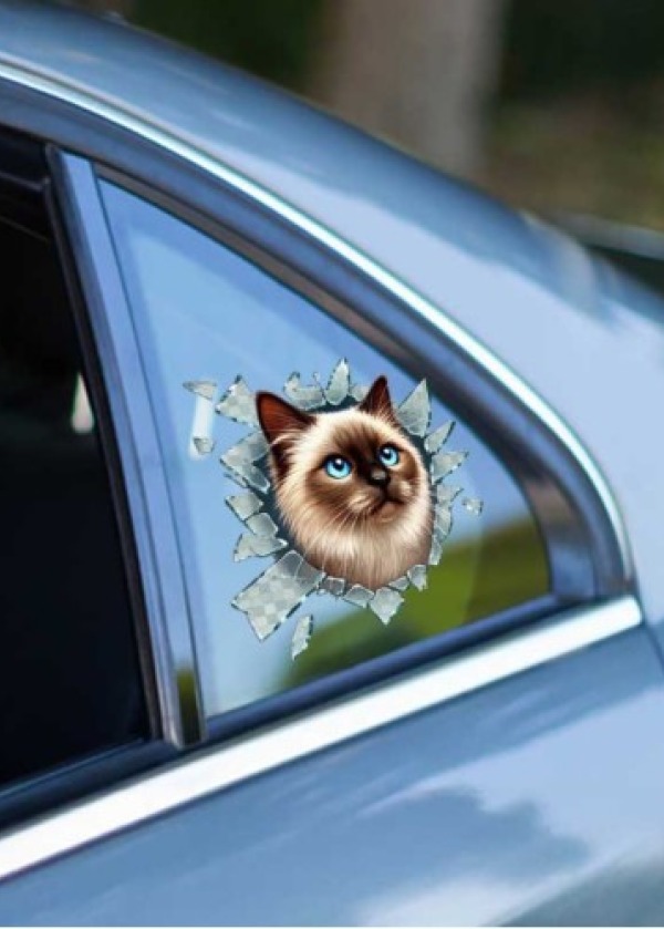 Fulcar Siamesse Araç Stickerı