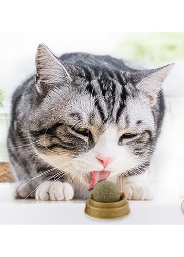 Kedi Otu Oyun Topu Cat Mint